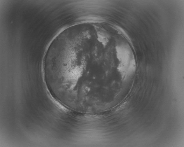 X0000074011243200609061041