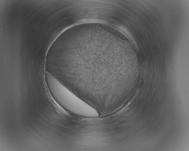 X0000074011244200609061041