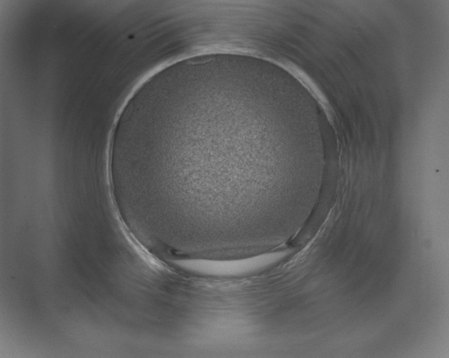 X0000074011246200609061041