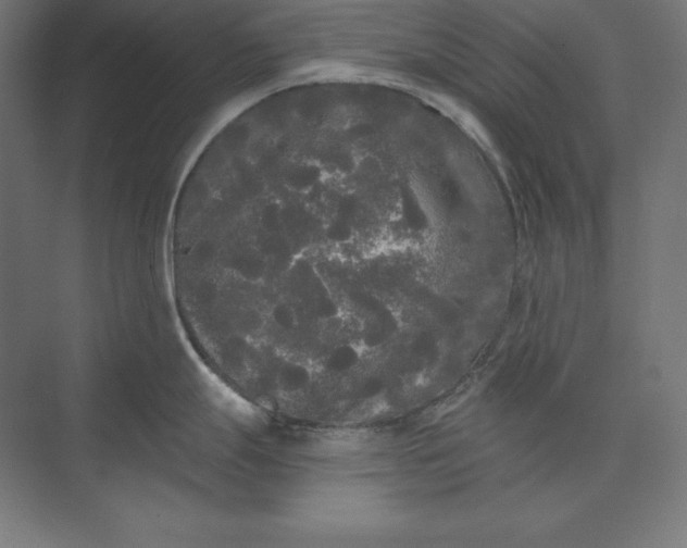 X0000074011247200609061041