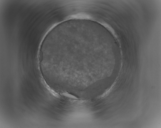 X0000074011248200609061041