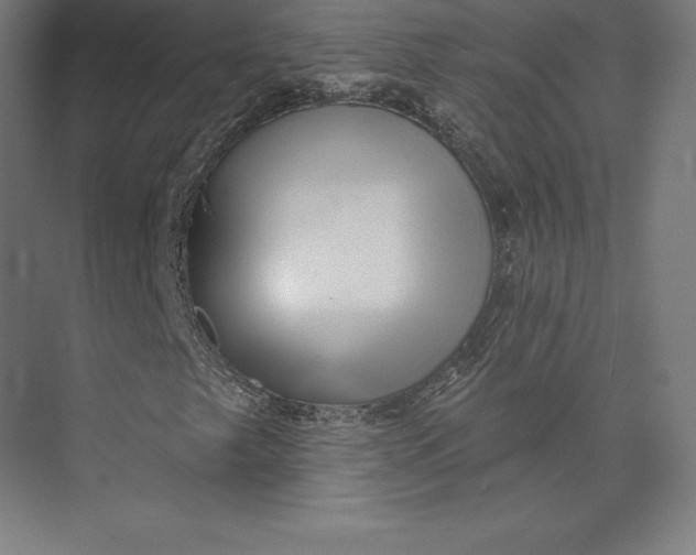 X0000074011249200609061040