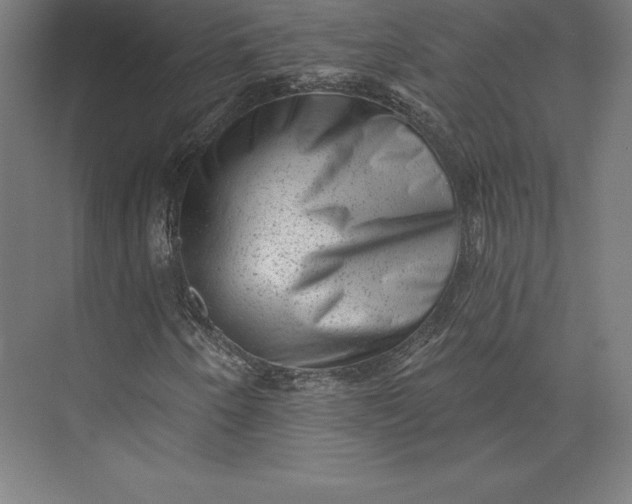 X0000074011250200609061040