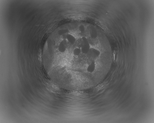 X0000074011251200609061040