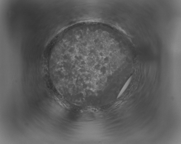 X0000074011255200609061040