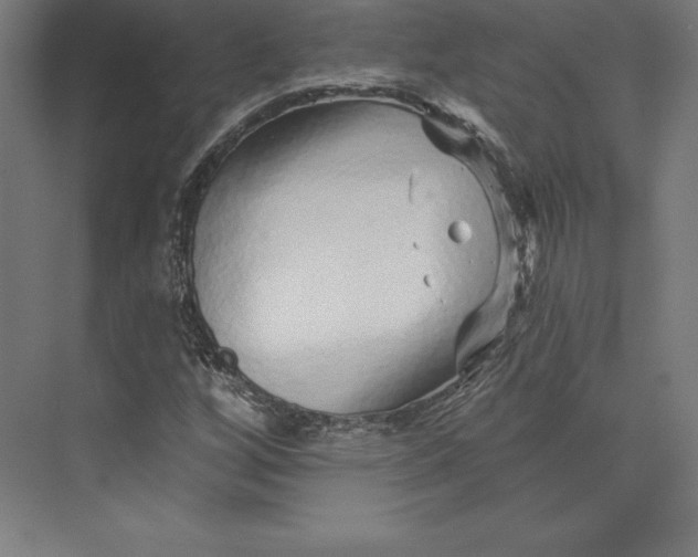 X0000074011256200609061040