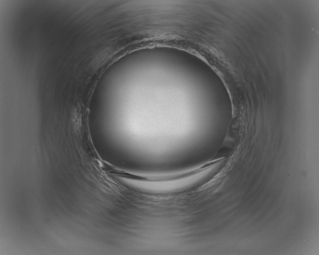 X0000074011257200609061040