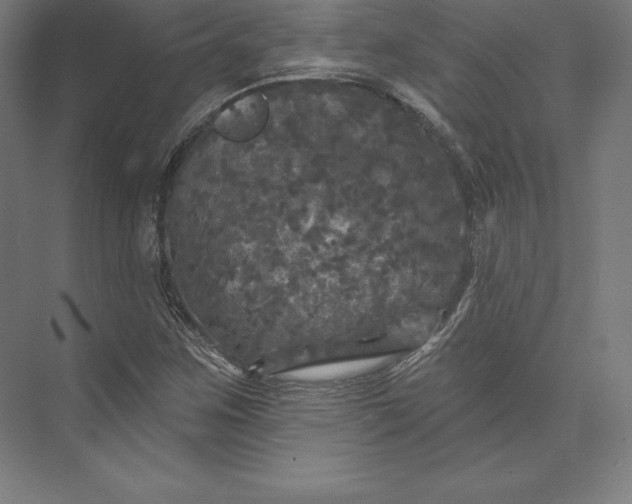 X0000074011259200609061040