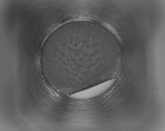 X0000074011260200609061040