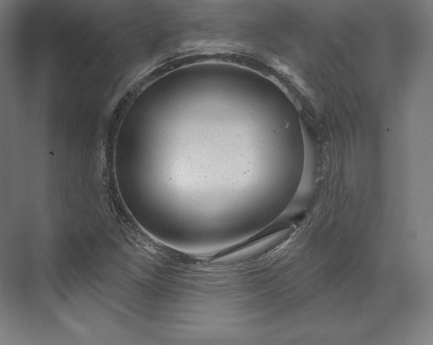 X0000074011261200609061040