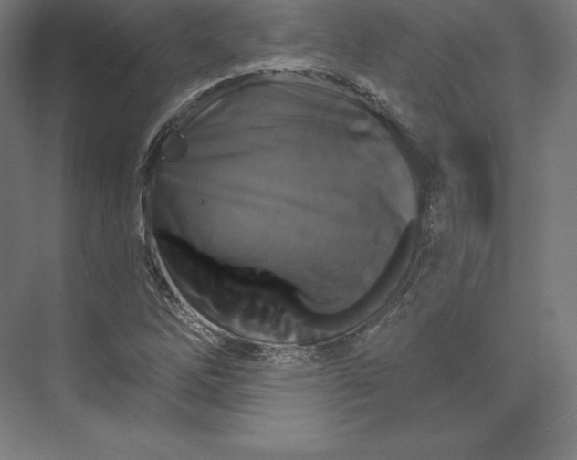 X0000074011262200609061040