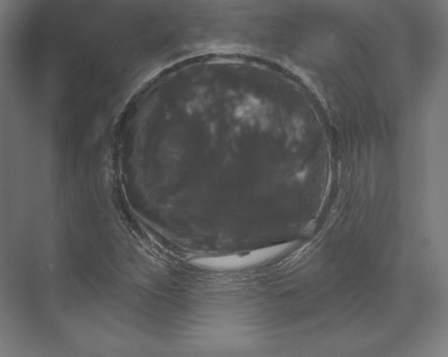 X0000074011263200609061040