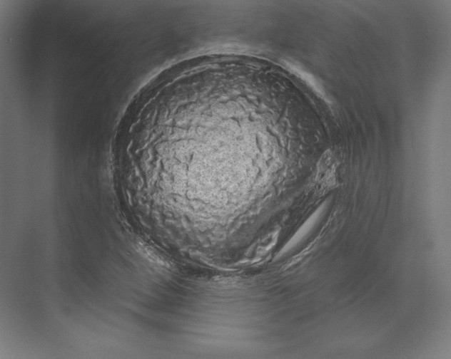 X0000074011264200609061040