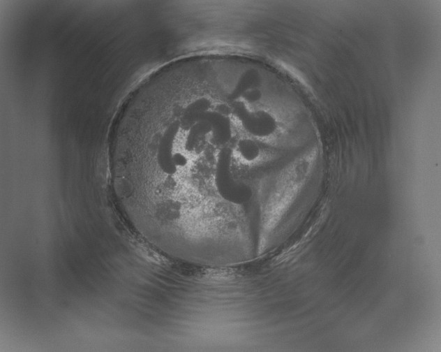 X0000074011267200609061040