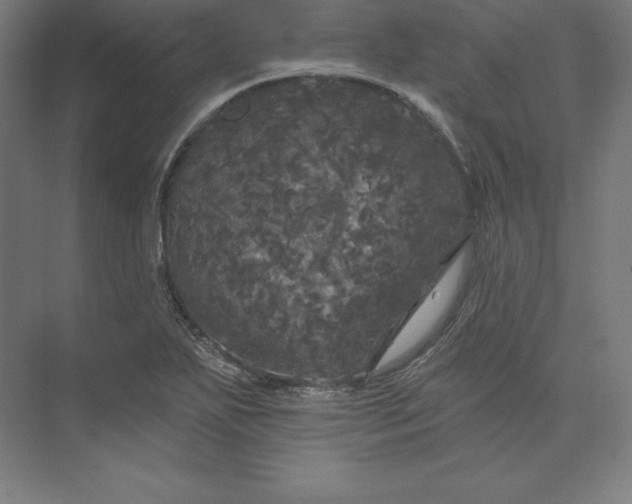 X0000074011271200609061040