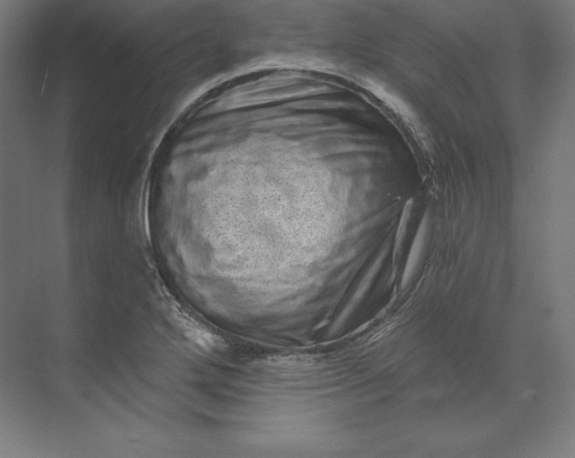 X0000074011272200609061040