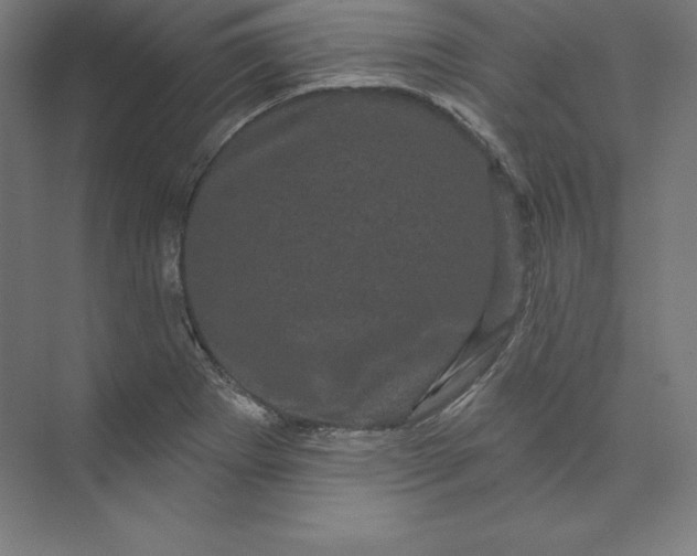 X0000074011273200609061040