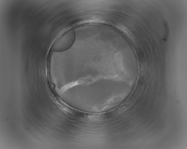 X0000074011274200609061040