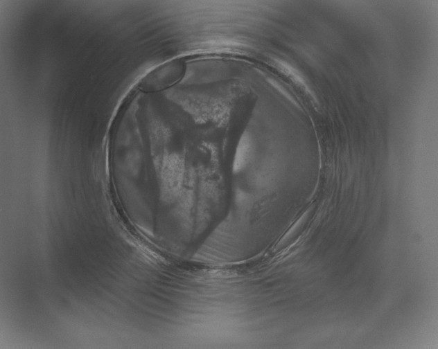 X0000074011275200609061040