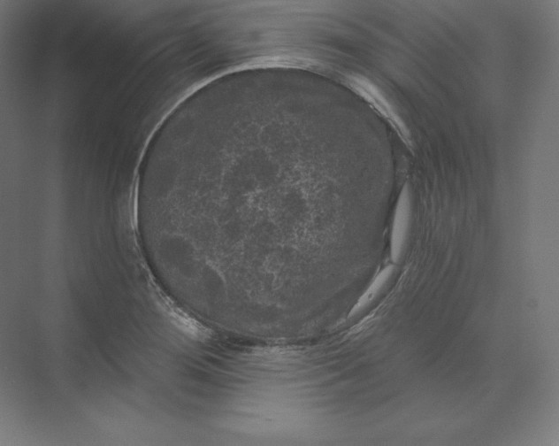 X0000074011276200609061040