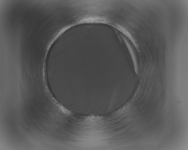 X0000074011277200609061040