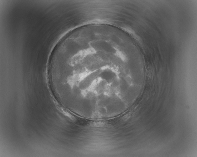 X0000074011278200609061040