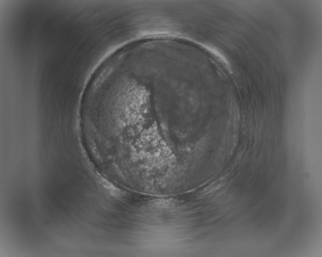 X0000074011279200609061040