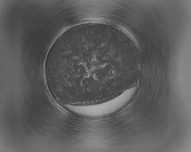 X0000074011283200609061040