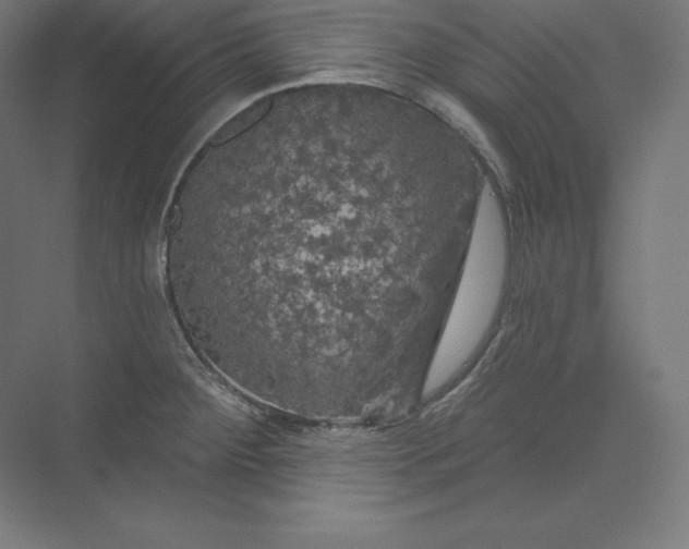 X0000074011284200609061040