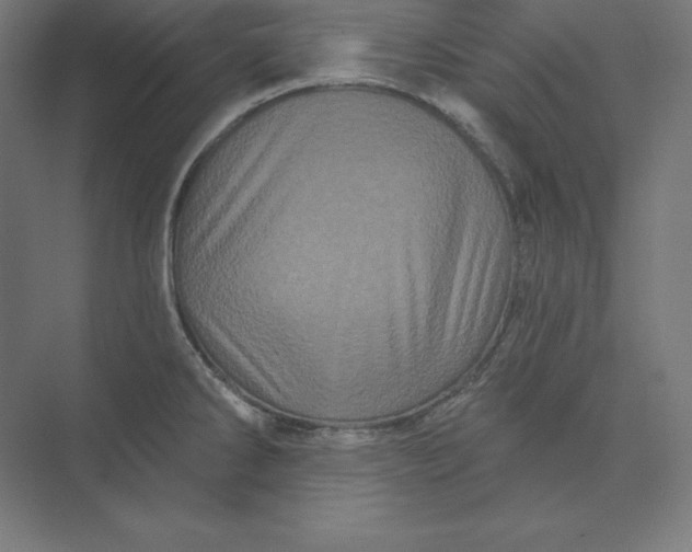 X0000074011286200609061040