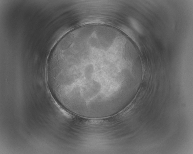 X0000074011290200609061040