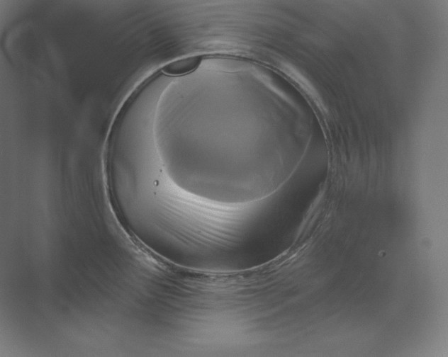 X0000074011291200609061040