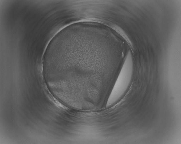 X0000074011292200609061040