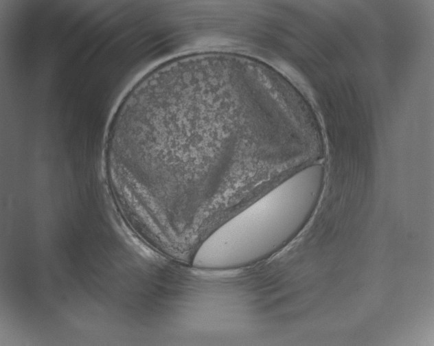 X0000074011296200609061040