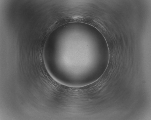 X0000074011298200609061039