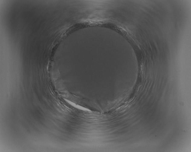 X0000074011300200609061039