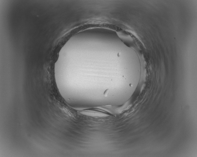 X0000074011304200609061039