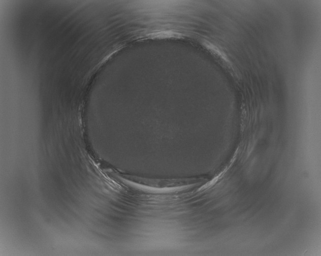 X0000074011305200609061039