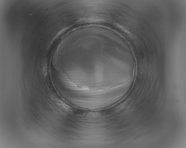 X0000074011306200609061039