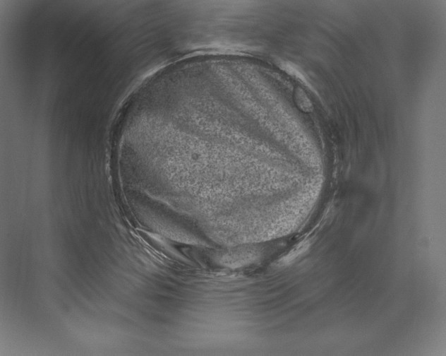 X0000074011307200609061039