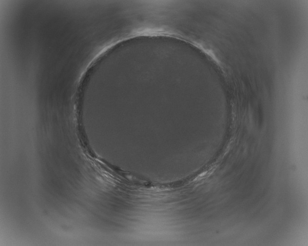 X0000074011311200609061039