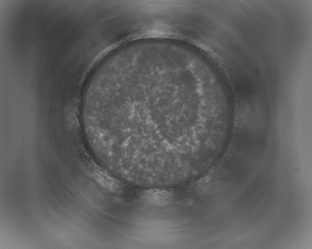 X0000074011314200609061039