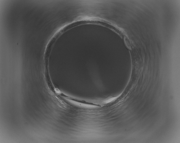 X0000074011319200609061039