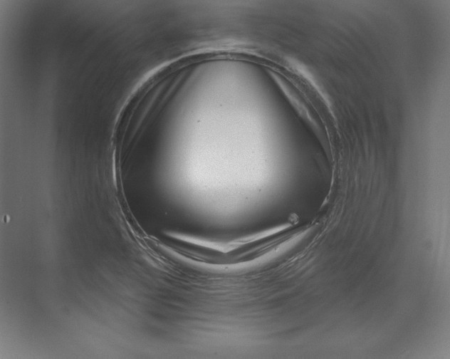 X0000074011320200609061039