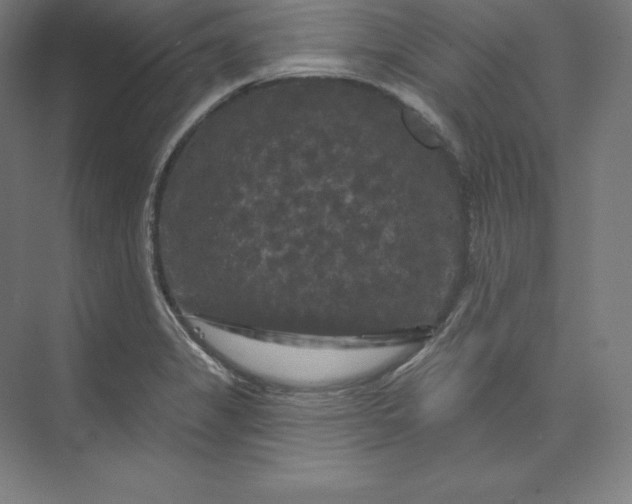 X0000074011325200609061039