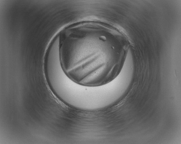 X0000074011326200609061039