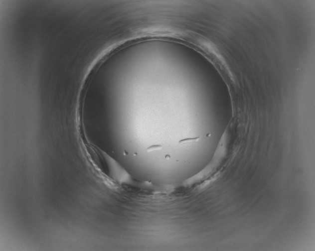 X0000074011328200609061039