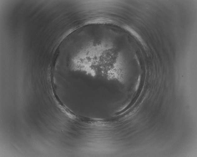 X0000074011329200609061039