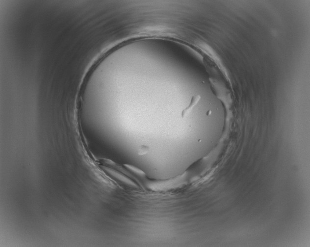 X0000074011336200609061040