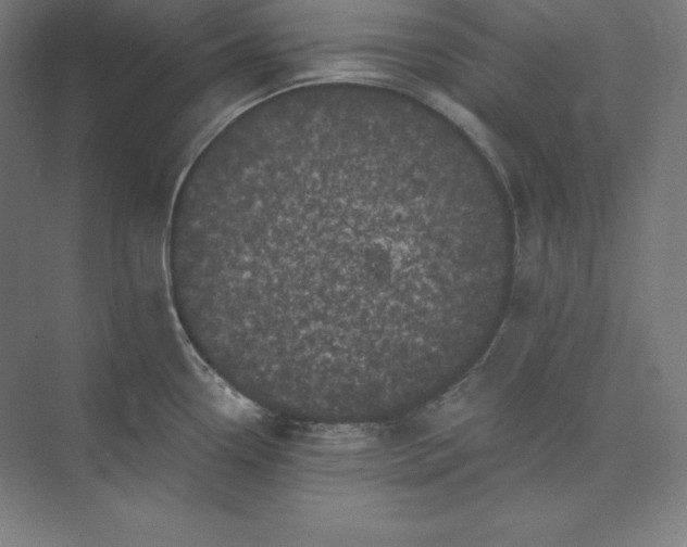 X0000074011338200609061040